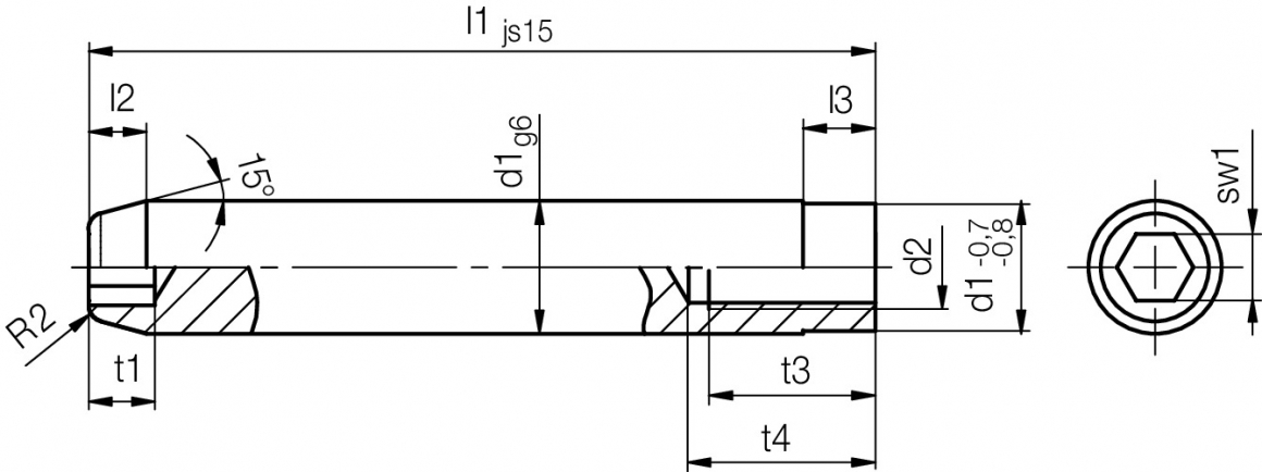 hasco-guide-pillars-Z010-d1-l1-din-iso-8404-b-02