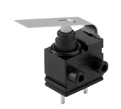 Sealed Switches Water Proof Switches DW32 Series
