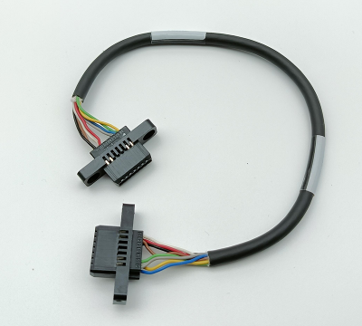 FUJI NXT Harness RH2012