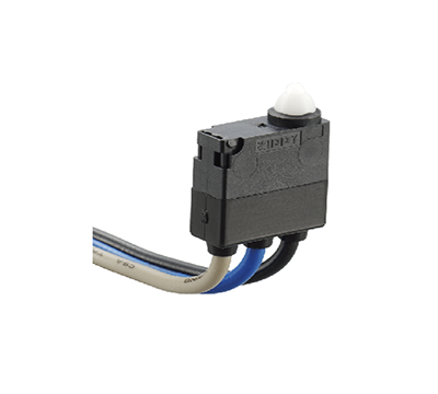Sealed Water Proof Switches (DW2(IP67) Series)