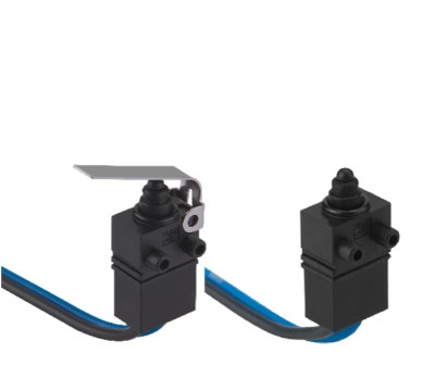 Sealed Water Proof Switches (DW33(IP67)series)